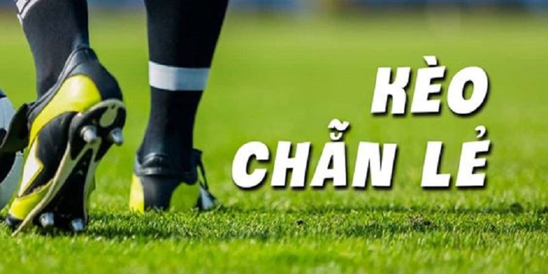 Kèo Chẵn Lẻ Bóng Đá Mẹo Đánh Dễ Thắng Từ Cao Thủ RED88