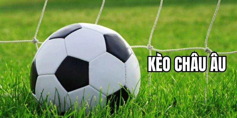 Kèo Châu u | Hướng Dẫn Cách Đọc Và Mẹo Soi Kèo Tại Red88