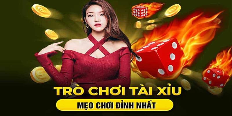 Bật mí mẹo chơi tài xỉu online cực hay cho tân thủ