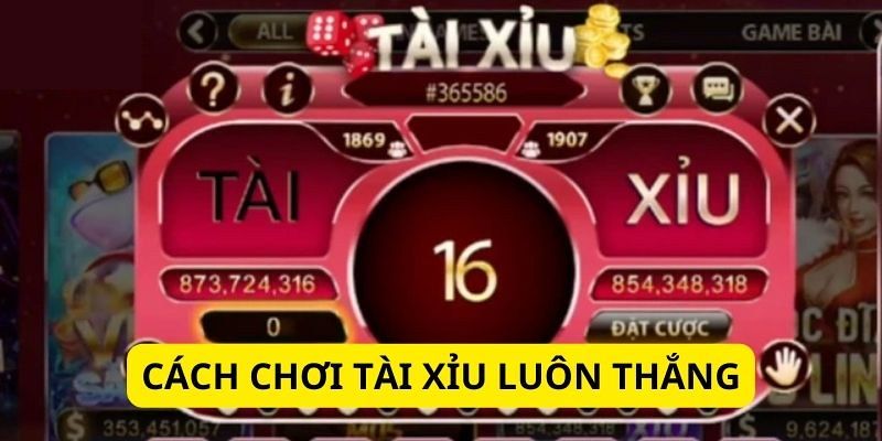 Mẹo chơi tài xỉu luôn thắng cho tay chơi lão làng